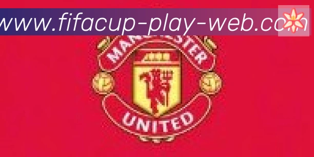 FIFA世界杯玩法官方网站合作伙伴